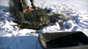 Рыбалка из - подо льда вентерями ( фитилями, мережой ) по первому льду  20.11.2020