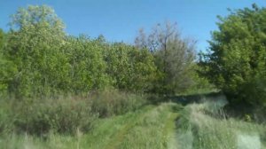 Опустевший посёлок Советский (Кляйн-Базель), Дергачевский район.