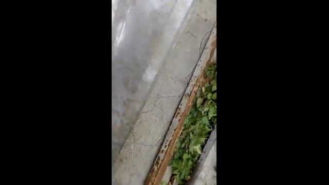 Киянка смотреть онлайн