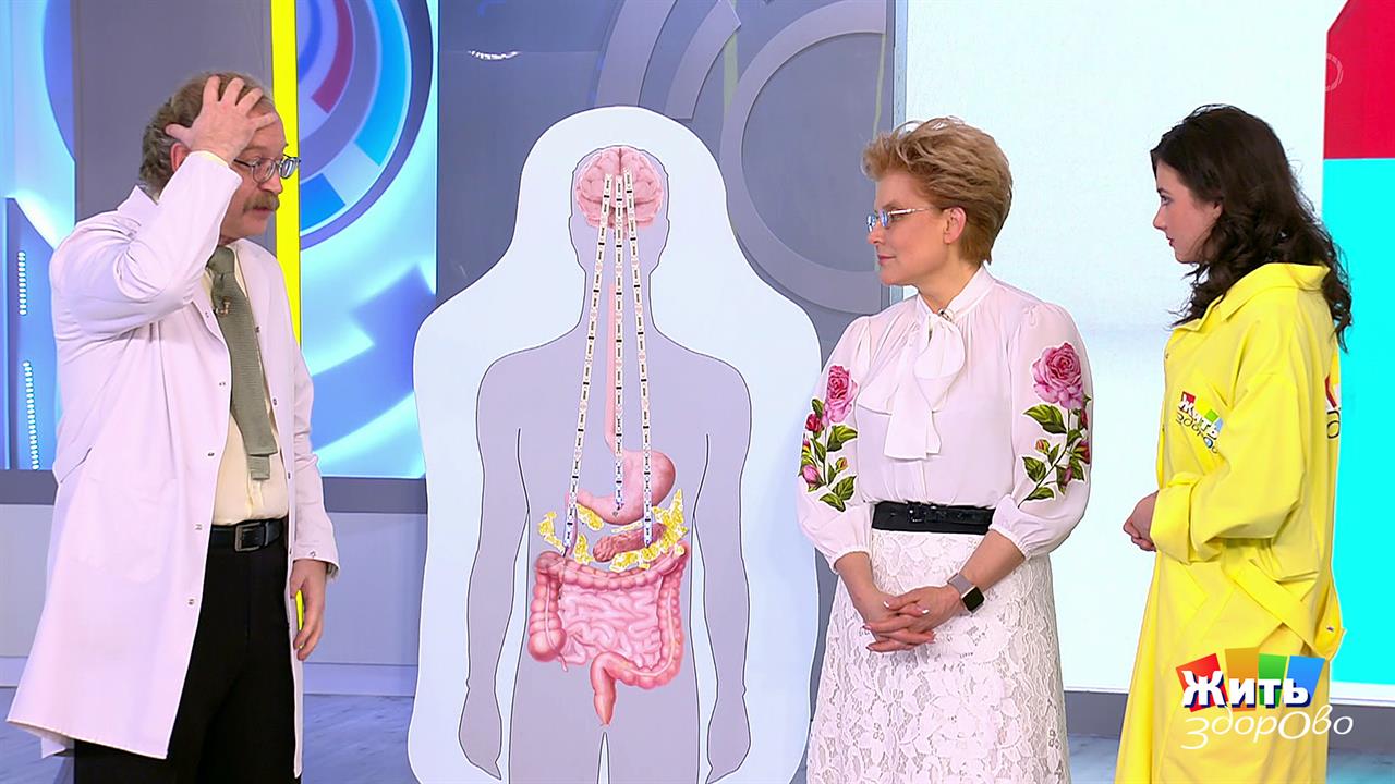 Медвежья болезнь. Жить здорово! Фрагмент выпуска от 21.01.2019