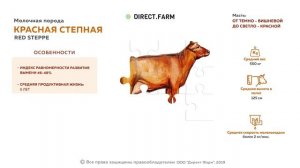 Красная степная молочная порода коров