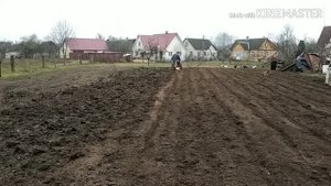 Работа мотоблока с фрезой.