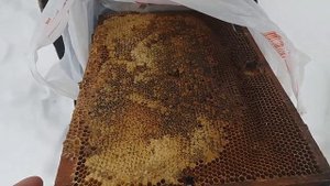 Подкормка пчел зимой медом в сотах