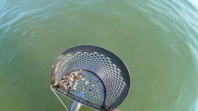 Вот это да-ГЕТЬМАНА ОТКОПАЛ под водой!)ПЛЯЖНЫЙ ПОИСК на море металлоискателем Minelab Excalibur II