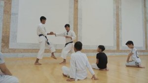 Как мы занимаемся каратэ. Школа шотокан каратэ.