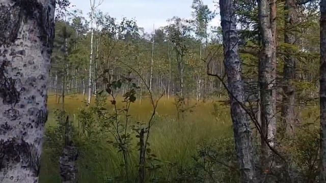 Достопримечательности  Ленинградской области!