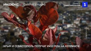Крым и Севастополь получат ₽450 млн на кемпинги