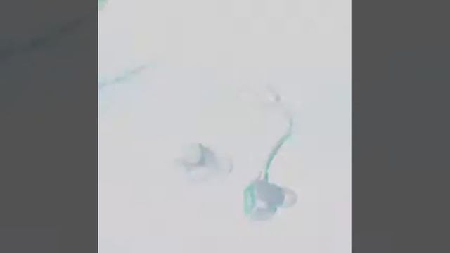 شرح سماعة بلوتوث QCY Q12 من #مزيد_شوب смотреть онлайн