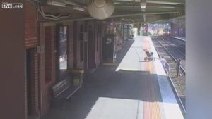 Коляска с ребёнком упала на рельсы