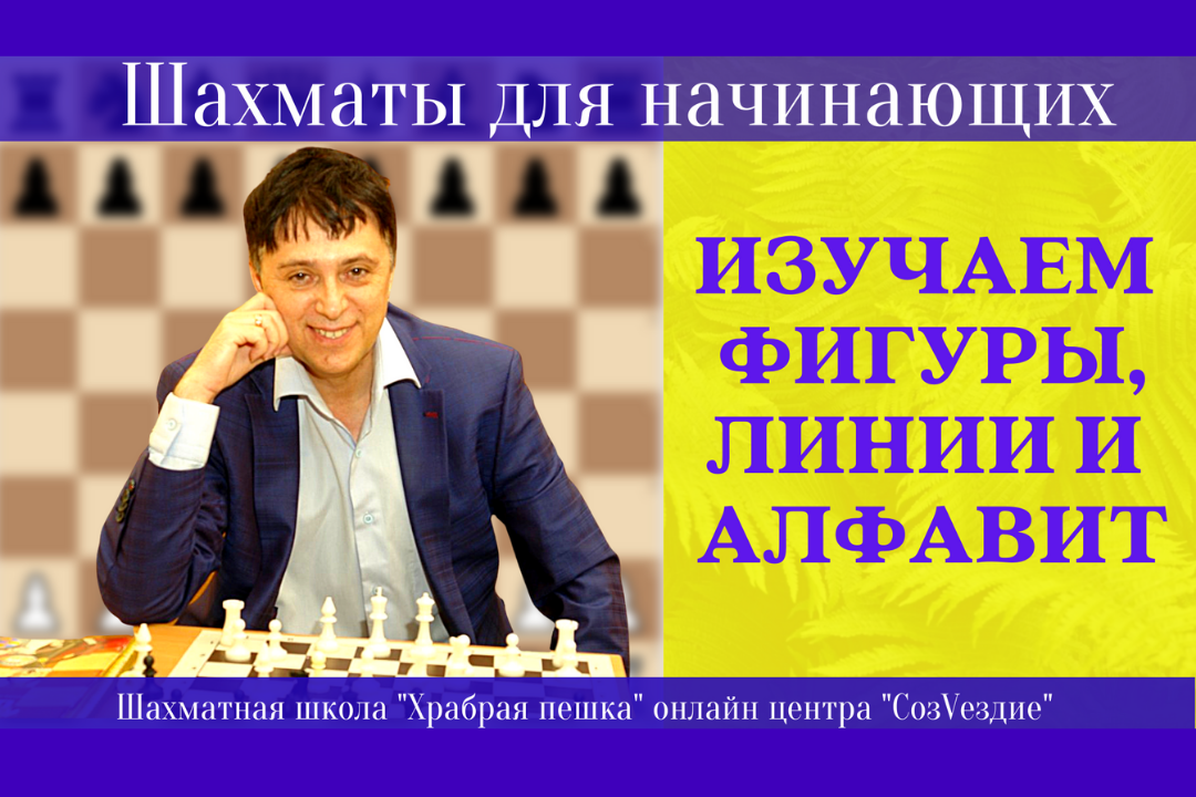 Шахматы/ ДЛЯ всех начинающих маленьких шахматистов.