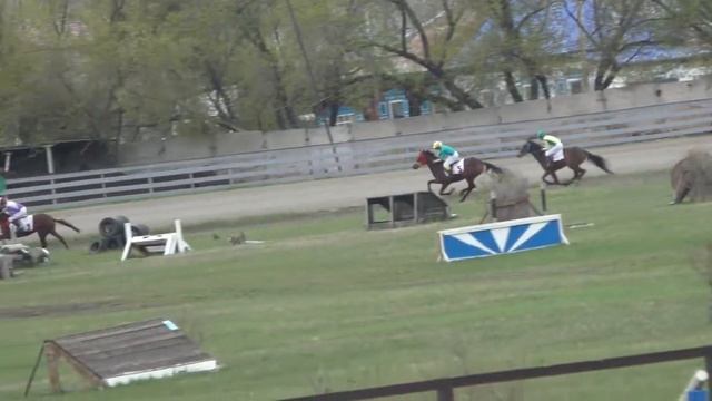 13 Приз Памяти коннозаводчика Подкопаева А. Скачка для лошадей верховых пород 2-х лет, дист. 1000 м смотреть онлайн