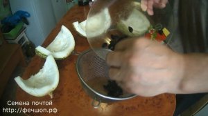 Семена фиголистной тыквы отличный подвой для дынь