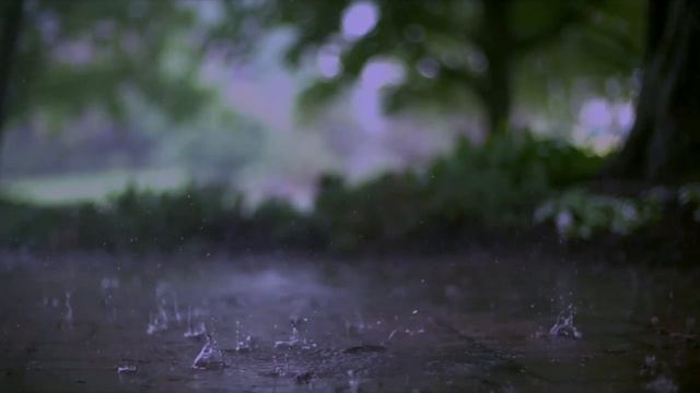 Petrichor - Original Piano Melody смотреть онлайн