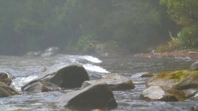 Отрывок из книги Ольги Асауляк "Книга Огней. Крылья" смотреть онлайн