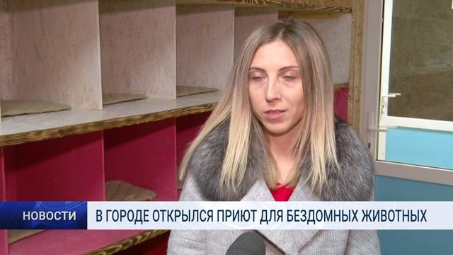 В ГОРОДЕ ОТКРЫЛСЯ ПРИЮТ ДЛЯ БЕЗДОМНЫХ ЖИВОТНЫХ