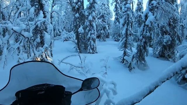 Тайга Карелии. ??? смотреть онлайн