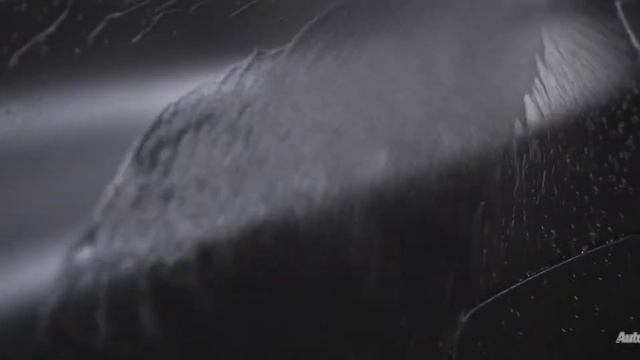 BMW G05 X5 xDrive45e - SatinGuard™ Paint Protection Film смотреть онлайн