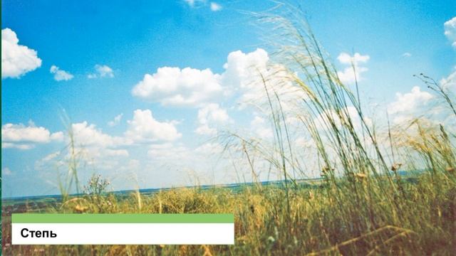 Животный и растительный мир Белгородской области смотреть онлайн