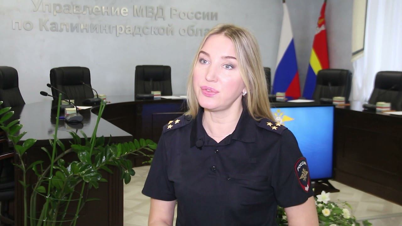 В Калининградской области выявлена незаконная рубка деревьев на сумму свыше 8 млн рублей