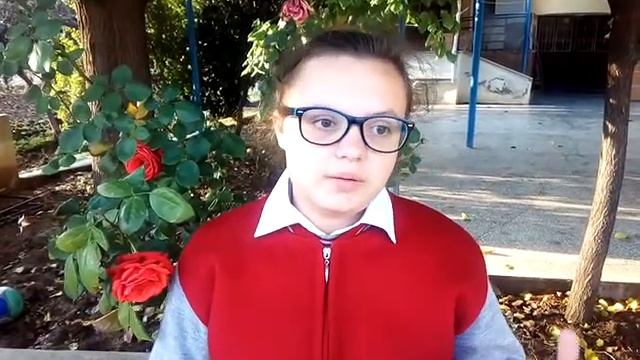 Оценки в турецкой школе//Результаты контрольных, Турция Хатай