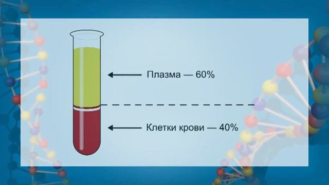 Внутренняя среда организма. Роль регуляции в поддержании постоянства внутренней среды организма