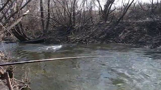 ловим плотвичку смотреть онлайн