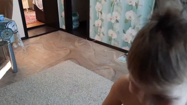 VLOG(первая часть)✔наши питомцы✔Захаркин рэп✔фиалки #влог #одинденьизмоейжизни #мамаблогер