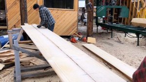 Guitar Tops Made From a Rare Tree (part 1)