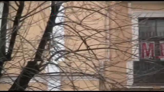 Сцены из жизни воробьёв смотреть онлайн