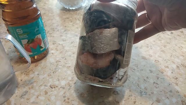 ВКУСНАЯ СКУМБРИЯ в банке / Быстрый рецепт