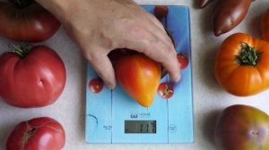 Томат Сердце Зебры (Coeur De Zebre). Красавец томат биколор!