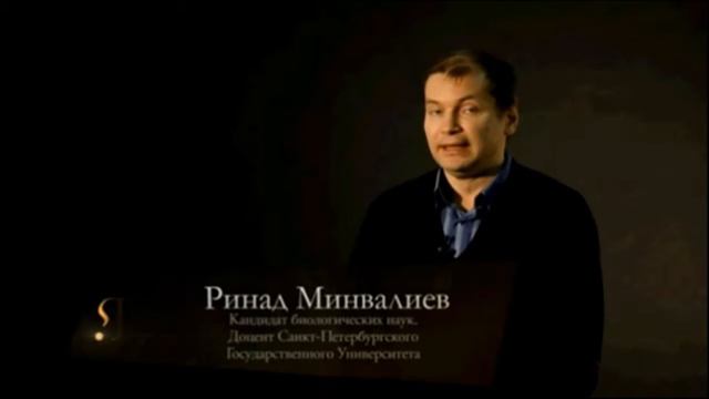 Загадки нашего Я