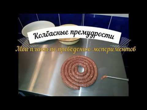 Как выбрать холодильник под домашнюю климатическую камеру смотреть онлайн