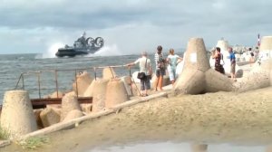 Зубр. Балтийск.