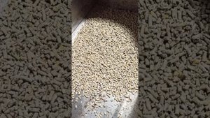 гранулятор шнековый 1.5 кВт