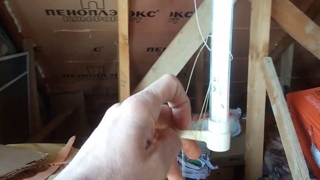 Неубиваемые Черенки Пирамидального Тополя,хранил в ведре на холодном чердаке с осени.) смотреть онлайн