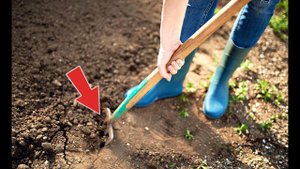 Нужно ли перекапывать огород осенью? Зачем перекапывать землю осенью?