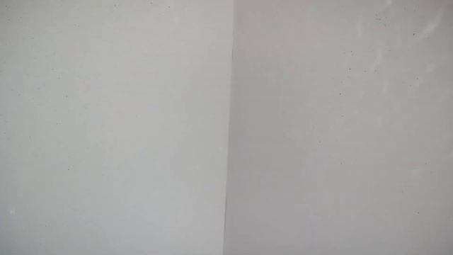 ... маленькая, да удаленькая! Шлифмашина DLT R7240 в ДЕЛЕ! Наглядный пример. Ремонт квартир.