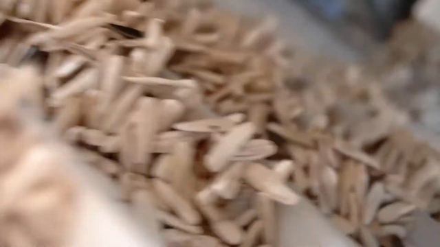 OS - 1000 Belt Type Roasting Machine / OS - 1000 Машина для обжаривания ленточного типа