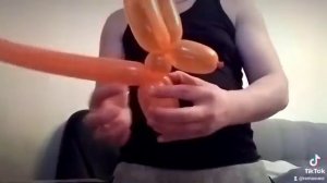 Собака из шарика