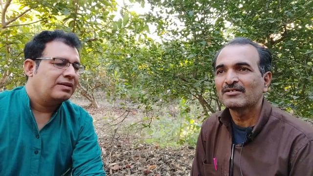 ફળોની અફલાતુન ખેતી કરે છે ચતુરભાઇ, કપાસની ખેતી, મરચાની ખેતી,ખેતી, ગાય આધારિત ખેતી, #પ્રગતિશીલ_ખેડુત смотреть онлайн