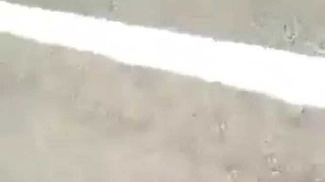 Падение Стоппи!, опасность стопи. смотреть онлайн