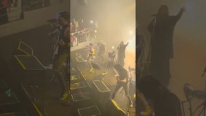 Линда — 29.10.23 — Санкт-Петербург — ворона