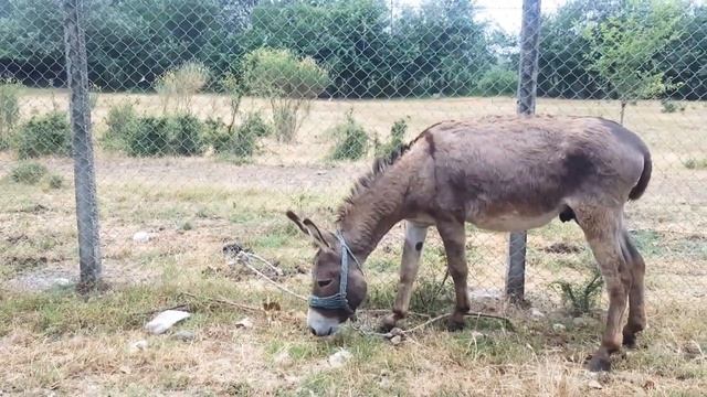 Все мы Бабы стервы, милый что с тобой ?! смотреть онлайн
