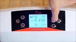Инкубатор HHD 56 LED с овоскопом  Обзор