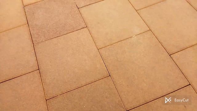 Прогулка с реборном Евой/неделя влогов день 4 ? смотреть онлайн