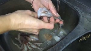 КАК ПОЧИСТИТЬ И ПРИГОТОВИТЬ КАЛЬМАРЫ (простой способ)