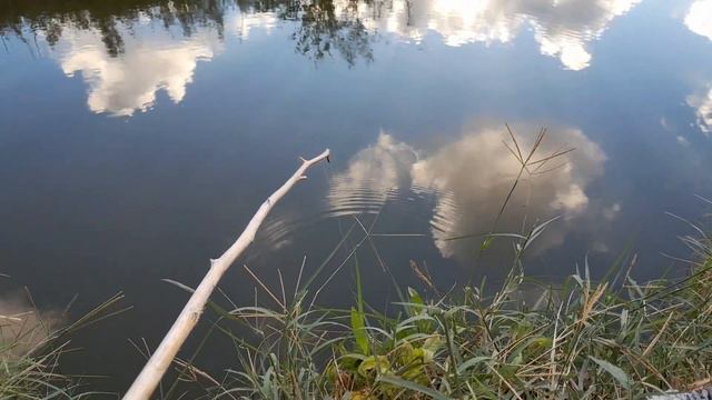 ПОЙМАЛА НА ОДИН КРЮЧОК рыбалка в Израиле БЕЗ ПОПЛАВКА ПОЛНОЕ ВИДЕО ЛАЙФХАКИ смотреть онлайн