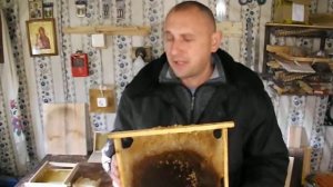 МАТКОВОДСТВО формирование цены на пчелиных маток