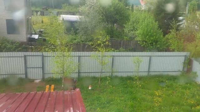 Шум дождя смотреть онлайн